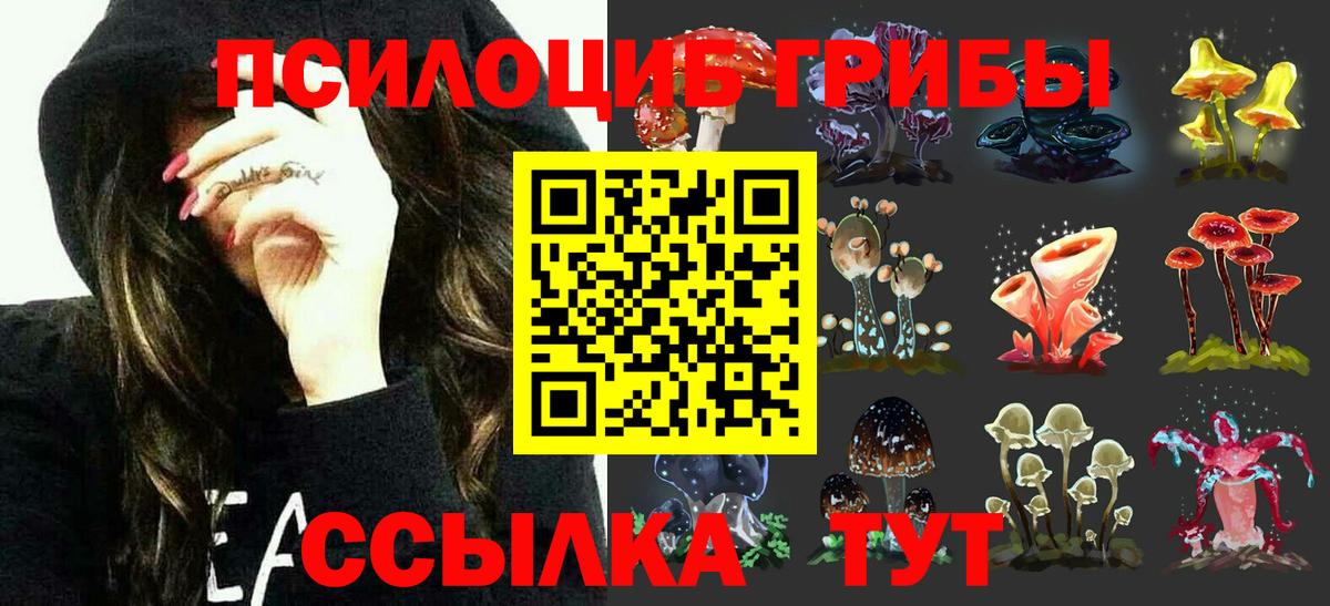 Галлюциногенные грибы Magic Shrooms Малгобек